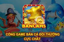 Bancah5 – Săn cá đã tay, nhận thưởng cực hay