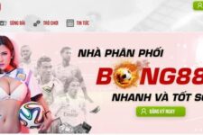 NetPlay, NextBet, Nhat vip – Top 3 sàn cá cược uy tín hàng đầu hiện tại