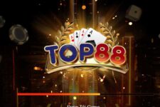 Top 3 nhà cái cá cược H3bet, 8live, Oxbet địa chỉ cá cược online uy tín nhất