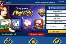 Thao tác game tại B52 Game hay Playcoc mượt mà hơn?